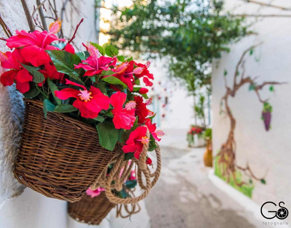 La Nghioscia Villa กร็อตตาเย ภายนอก รูปภาพ